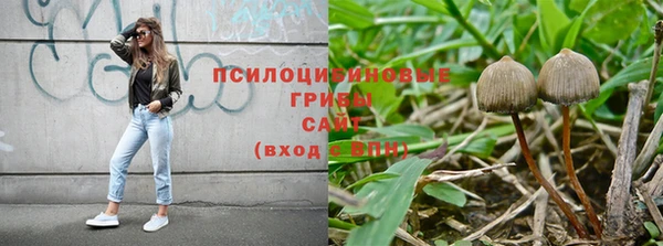 соль ск Бородино